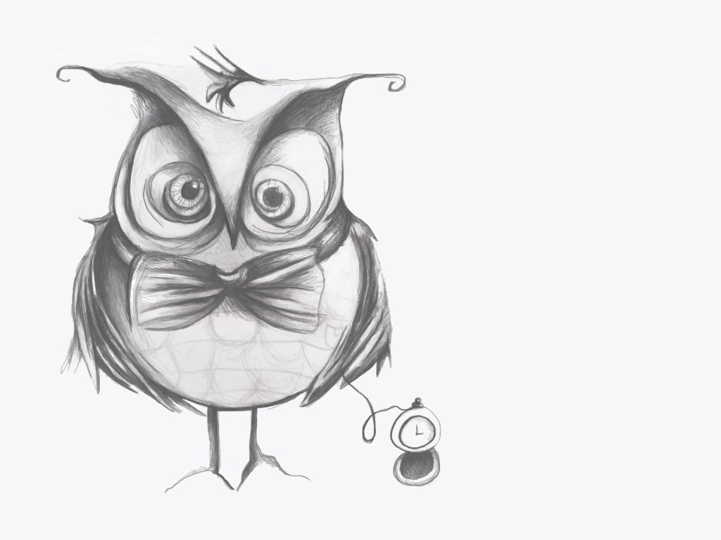 Boceto lechuza Pina